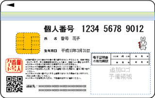 見本：マイナンバーカード裏面