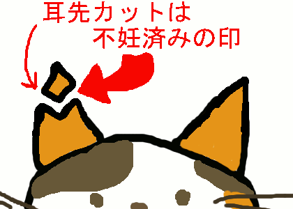 イラスト：さくらねこ（耳先カットは不妊済みの印）