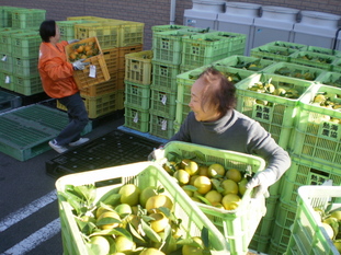 写真:納品の様子
