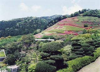 姫の沢公園の全景