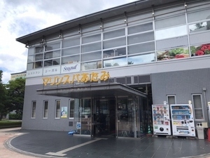 海浜公園の写真その1