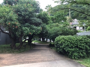海浜公園内通路