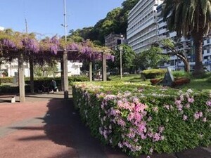 サンレモ公園の写真その1