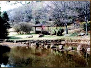 鹿ヶ谷公園の様子