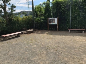 緑ガ丘公園の景色