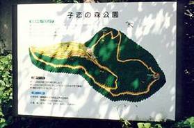 写真：子恋の森の地図と説明が書かれている看板