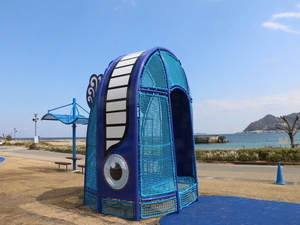くじらの写真