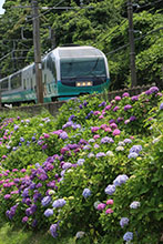 写真12