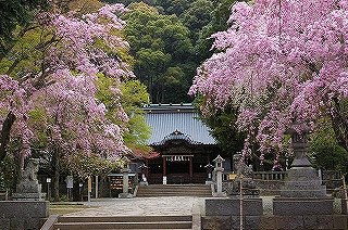 写真：伊豆山神社