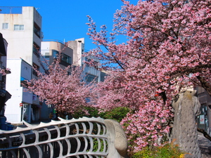 令和6年1月30日撮影