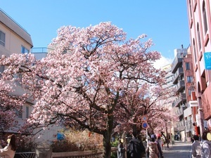 糸川