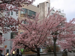 糸川