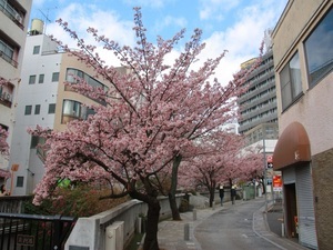 糸川