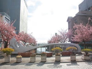 糸川
