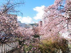 糸川