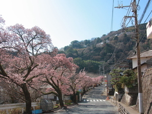 梅園前