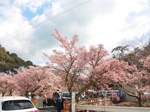 梅園前