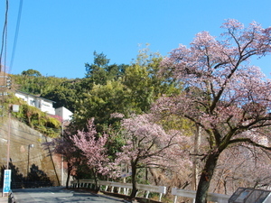 梅園前