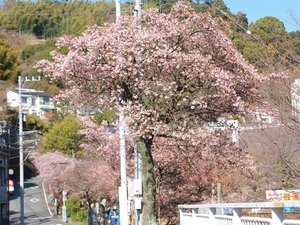 梅園前