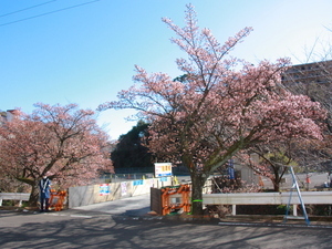 梅園前