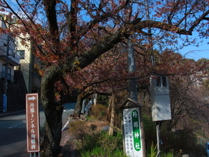 令和7年2月28日現在の梅園前市道