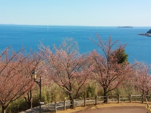 桜の名所