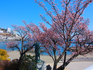 令和5年度釜鳴屋平七像あたみ桜の写真