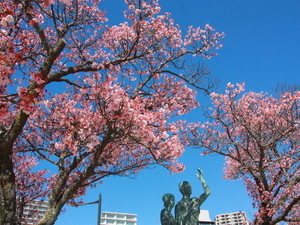 令和7年2月20日現在の釜鳴屋平七像横のあたみ桜