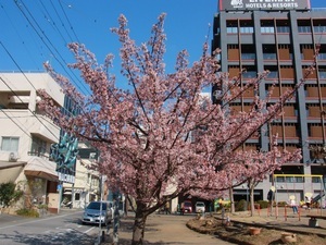 渚小公園