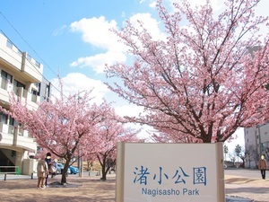 小公園