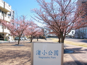 渚小公園