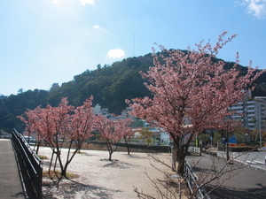 デッキ