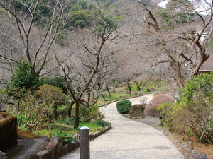 令和7年3月14日香林亭付近