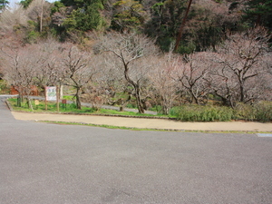令和7年3月14日中央広場付近