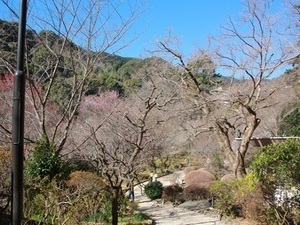 梅園