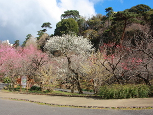 中央広場