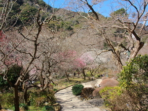 令和7年2月25日現在の香林亭付近