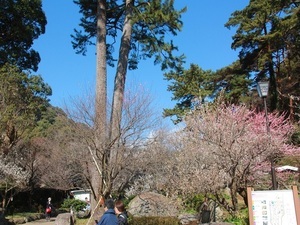 令和7年2月28日現在正面入口