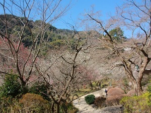 令和7年2月28日現在香林亭付近