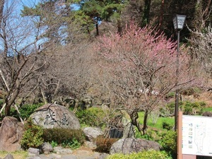 令和7年3月7日現在正面入口