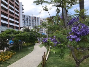 令和6年6月5日お宮緑地開花の様子その1
