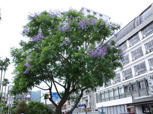 令和5年6月19日撮影