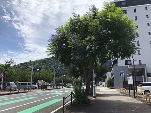 令和6年6月24日親水公園渚小公園前付近の様子