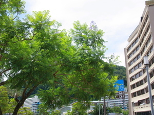 令和7年6月23日現在の様子