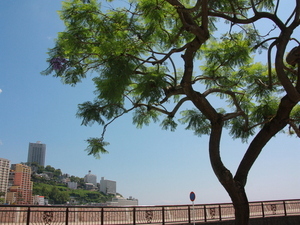 令和7年6月5日現在の親水公園前歩道の様子その2