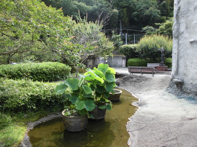 澤田政廣記念美術館庭園の蓮