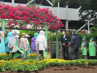 花の会による植栽の様子