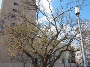 令和7年2月17日現在の様子その2