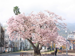 令和7年3月13日現在の