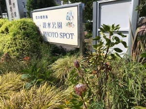 親水公園フォトスポットの写真その1